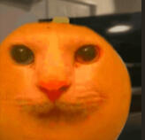 orng
